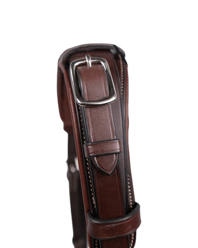 Training Bridle with Pad and Rubber Reins with Clips